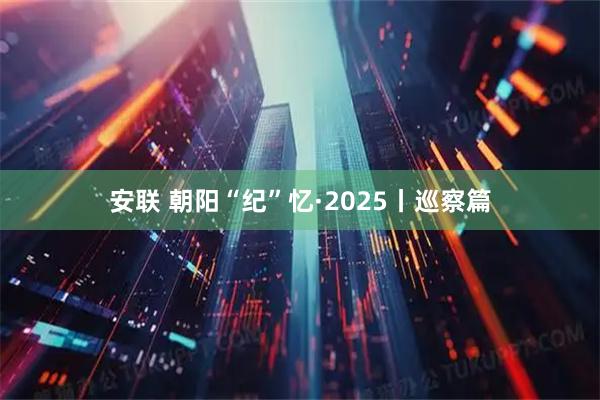 安联 朝阳“纪”忆·2025丨巡察篇