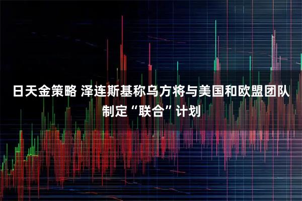 日天金策略 泽连斯基称乌方将与美国和欧盟团队制定“联合”计划